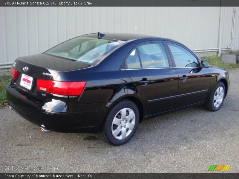 Ebony Black / Gray 2009 Hyundai Sonata GLS V6