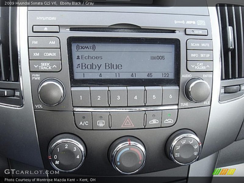 Ebony Black / Gray 2009 Hyundai Sonata GLS V6