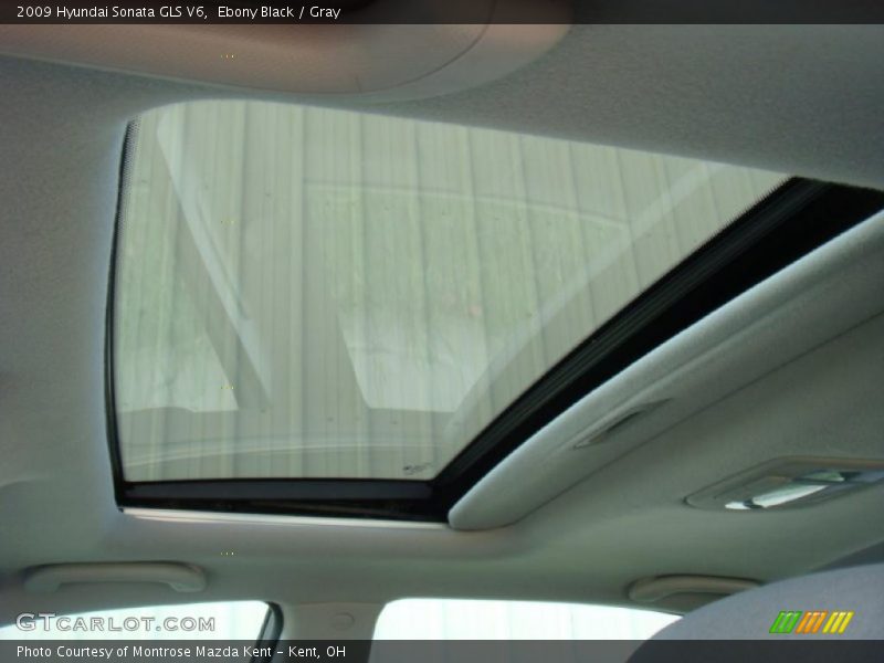 Ebony Black / Gray 2009 Hyundai Sonata GLS V6
