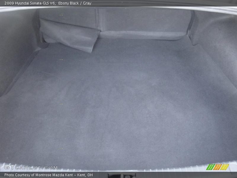 Ebony Black / Gray 2009 Hyundai Sonata GLS V6