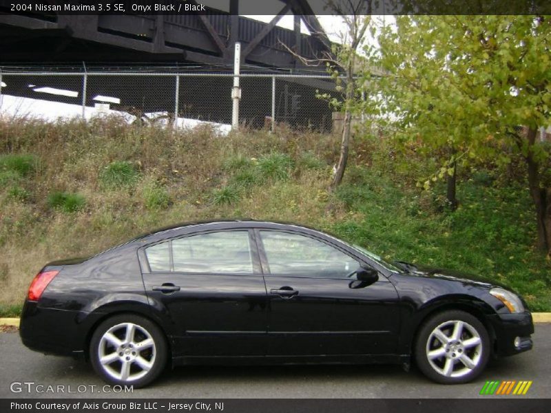 Onyx Black / Black 2004 Nissan Maxima 3.5 SE
