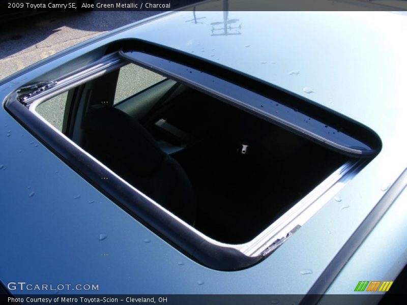 Aloe Green Metallic / Charcoal 2009 Toyota Camry SE