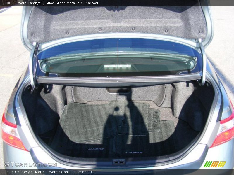 Aloe Green Metallic / Charcoal 2009 Toyota Camry SE