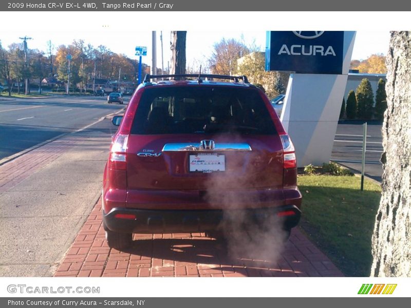 Tango Red Pearl / Gray 2009 Honda CR-V EX-L 4WD