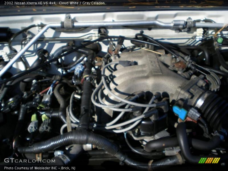 Cloud White / Gray Celadon 2002 Nissan Xterra XE V6 4x4