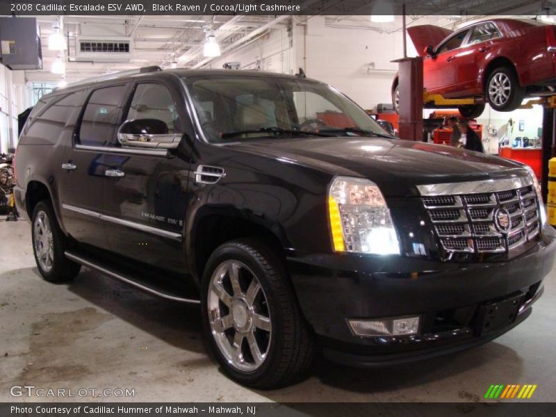 Black Raven / Cocoa/Light Cashmere 2008 Cadillac Escalade ESV AWD
