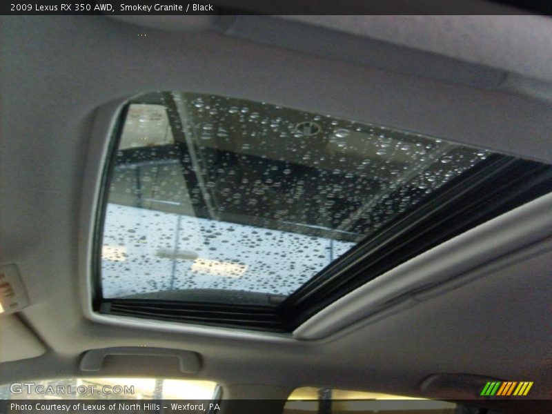 Smokey Granite / Black 2009 Lexus RX 350 AWD