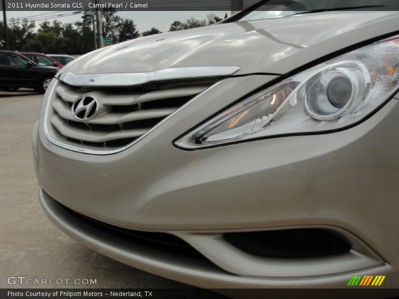 Camel Pearl / Camel 2011 Hyundai Sonata GLS