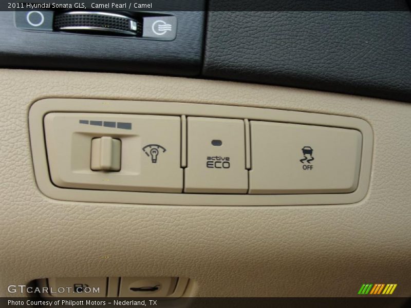 Camel Pearl / Camel 2011 Hyundai Sonata GLS