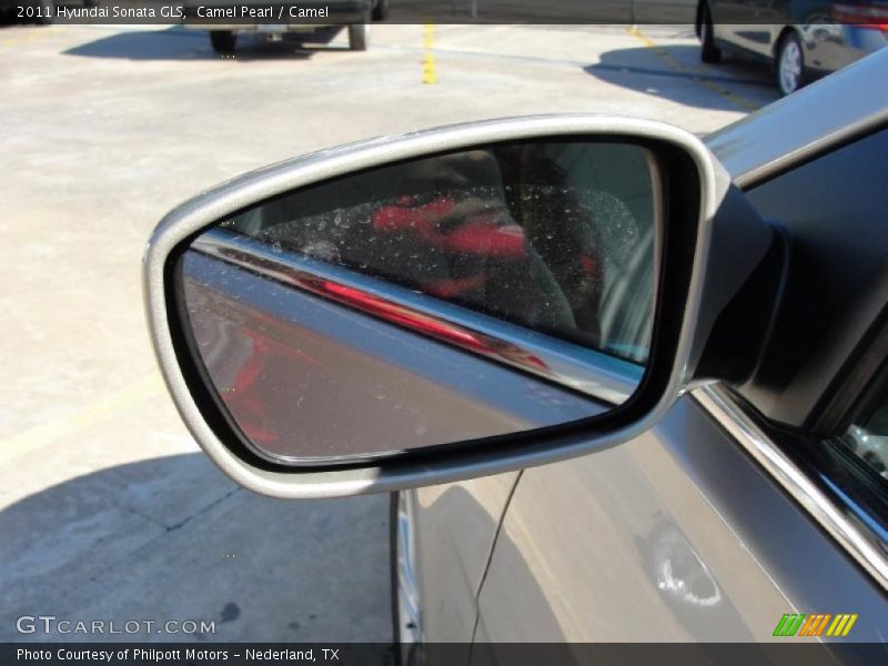 Camel Pearl / Camel 2011 Hyundai Sonata GLS