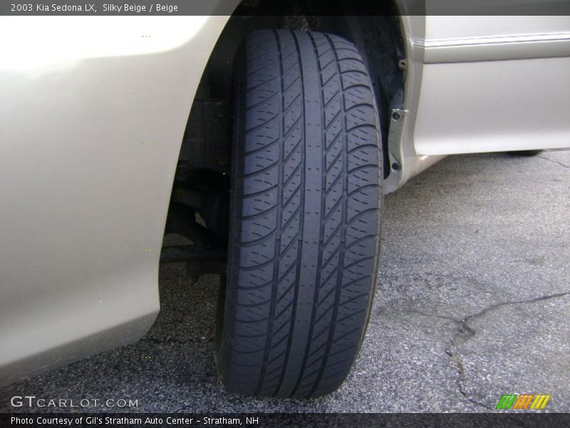 Silky Beige / Beige 2003 Kia Sedona LX