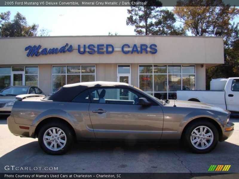 Mineral Grey Metallic / Dark Charcoal 2005 Ford Mustang V6 Deluxe Convertible