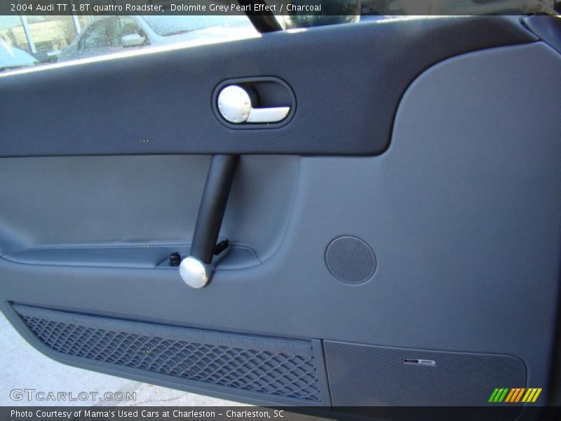 Door Panel of 2004 TT 1.8T quattro Roadster