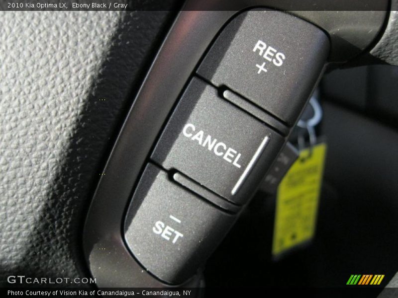 Ebony Black / Gray 2010 Kia Optima LX