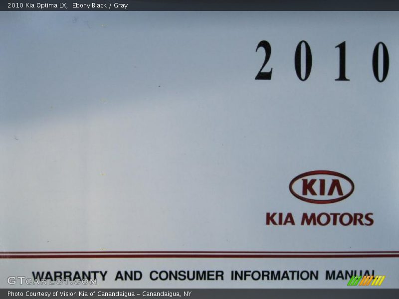Ebony Black / Gray 2010 Kia Optima LX