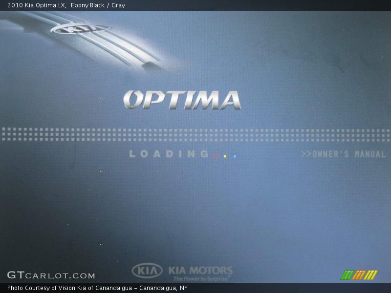 Ebony Black / Gray 2010 Kia Optima LX