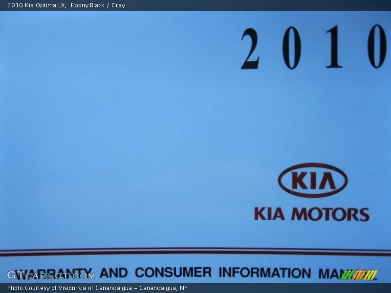 Ebony Black / Gray 2010 Kia Optima LX