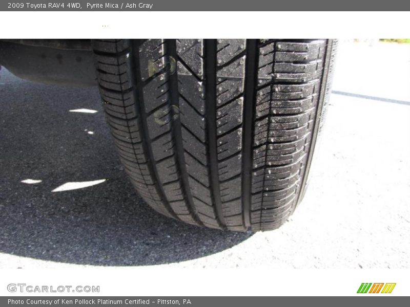 Pyrite Mica / Ash Gray 2009 Toyota RAV4 4WD