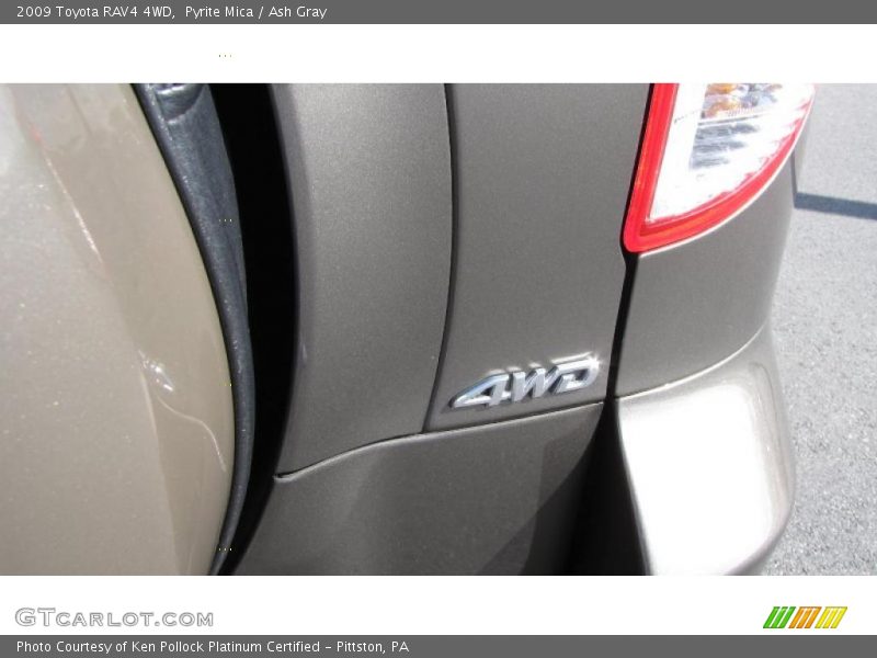 Pyrite Mica / Ash Gray 2009 Toyota RAV4 4WD