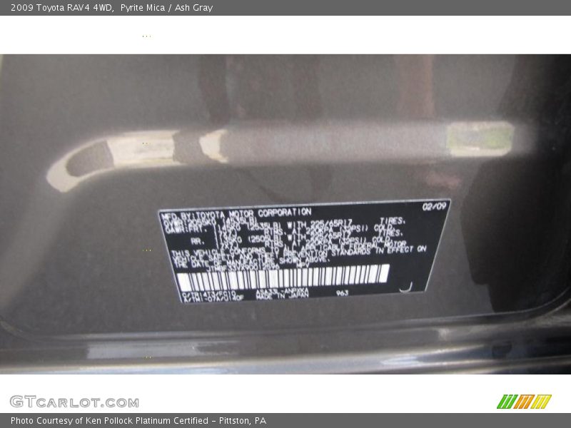 Pyrite Mica / Ash Gray 2009 Toyota RAV4 4WD