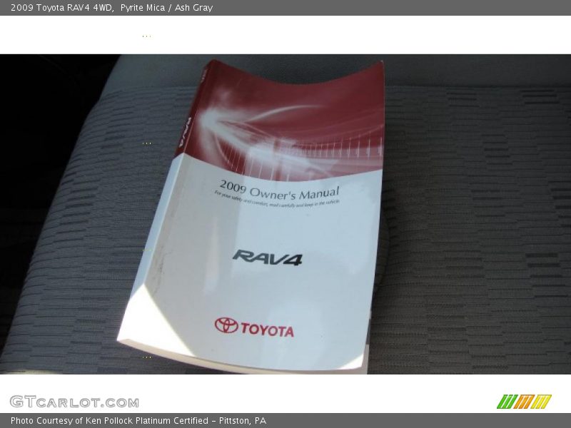 Pyrite Mica / Ash Gray 2009 Toyota RAV4 4WD