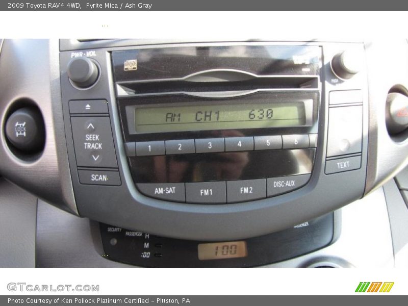 Pyrite Mica / Ash Gray 2009 Toyota RAV4 4WD