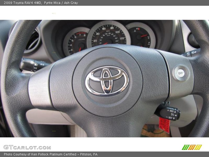 Pyrite Mica / Ash Gray 2009 Toyota RAV4 4WD