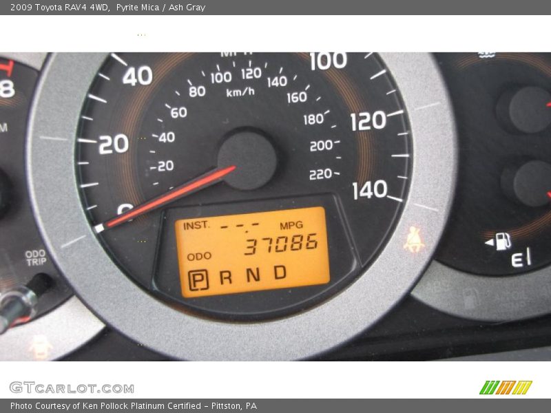 Pyrite Mica / Ash Gray 2009 Toyota RAV4 4WD