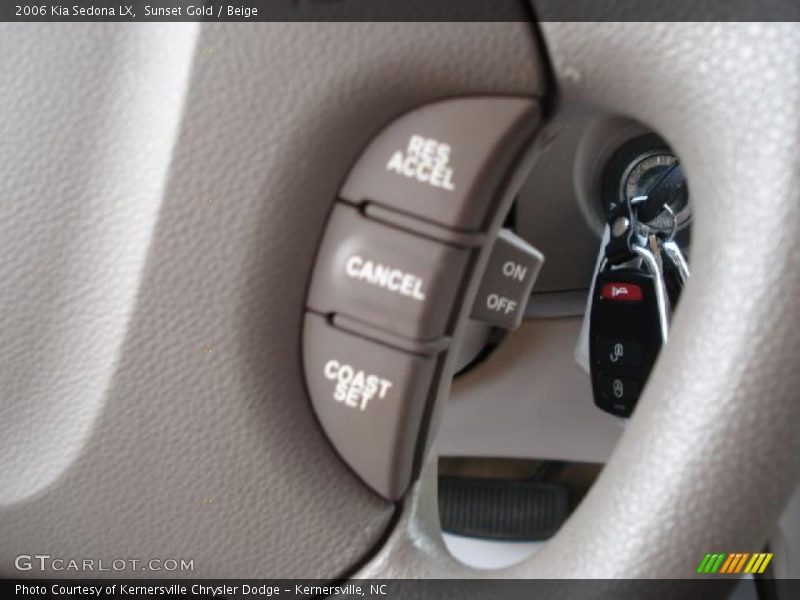 Sunset Gold / Beige 2006 Kia Sedona LX