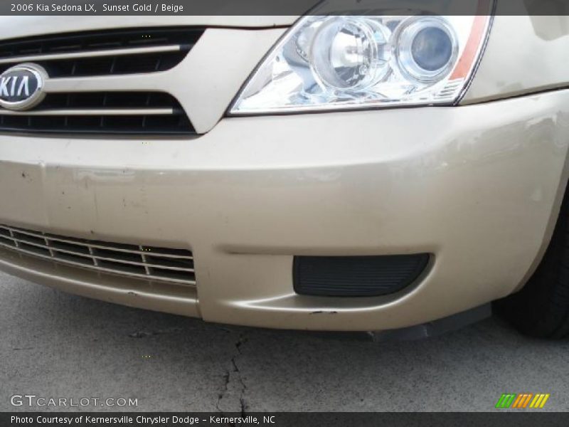 Sunset Gold / Beige 2006 Kia Sedona LX