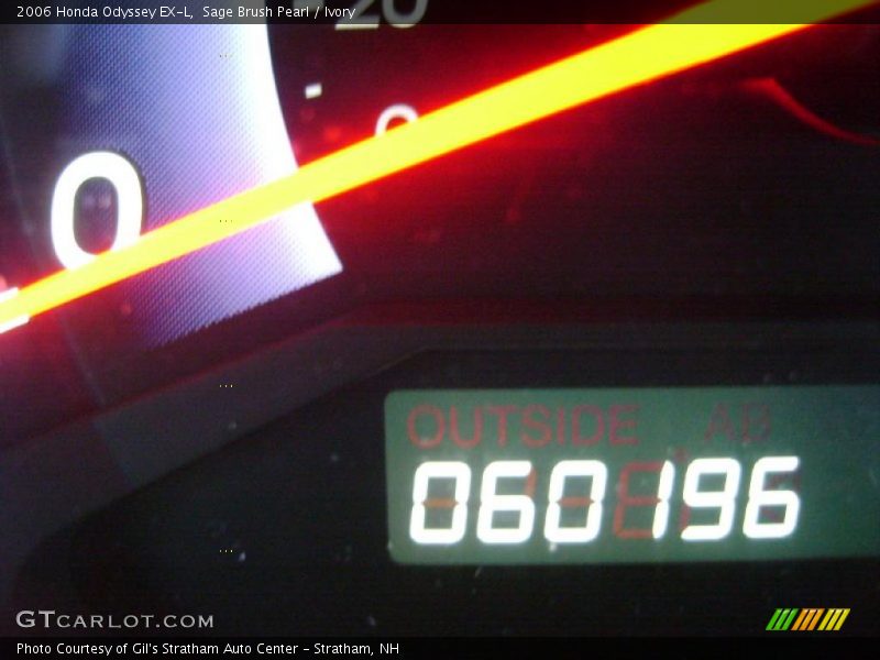 Sage Brush Pearl / Ivory 2006 Honda Odyssey EX-L