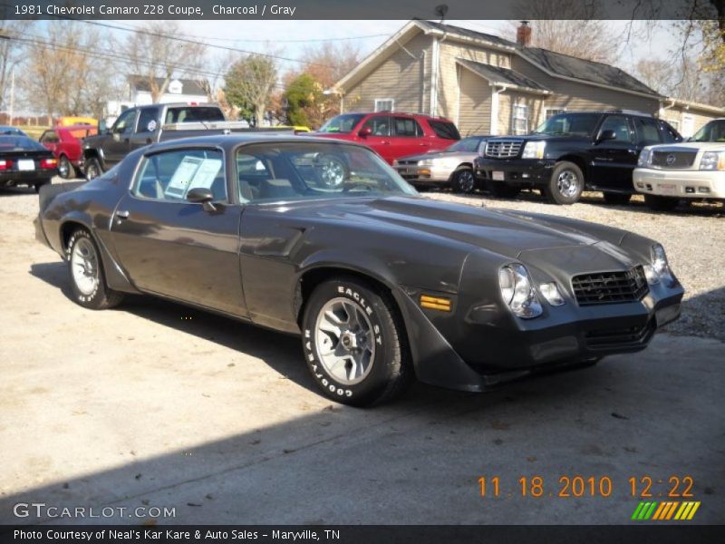 Charcoal / Gray 1981 Chevrolet Camaro Z28 Coupe