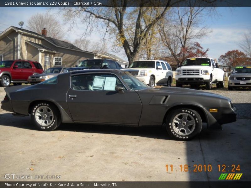 Charcoal / Gray 1981 Chevrolet Camaro Z28 Coupe