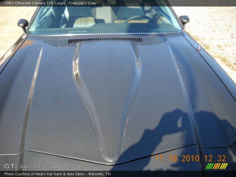 Charcoal / Gray 1981 Chevrolet Camaro Z28 Coupe