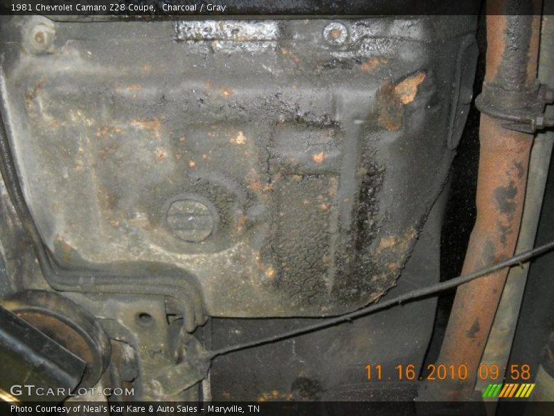 Charcoal / Gray 1981 Chevrolet Camaro Z28 Coupe