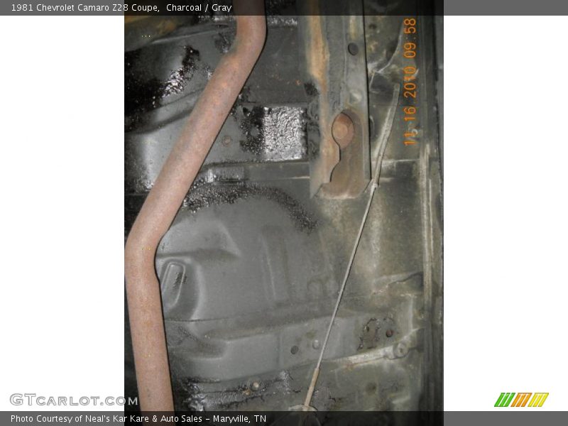 Charcoal / Gray 1981 Chevrolet Camaro Z28 Coupe
