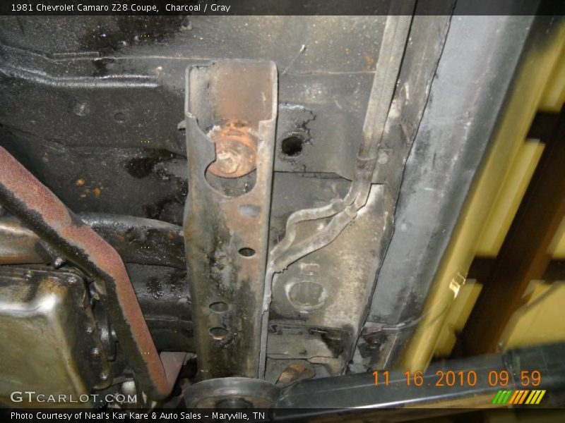 Charcoal / Gray 1981 Chevrolet Camaro Z28 Coupe
