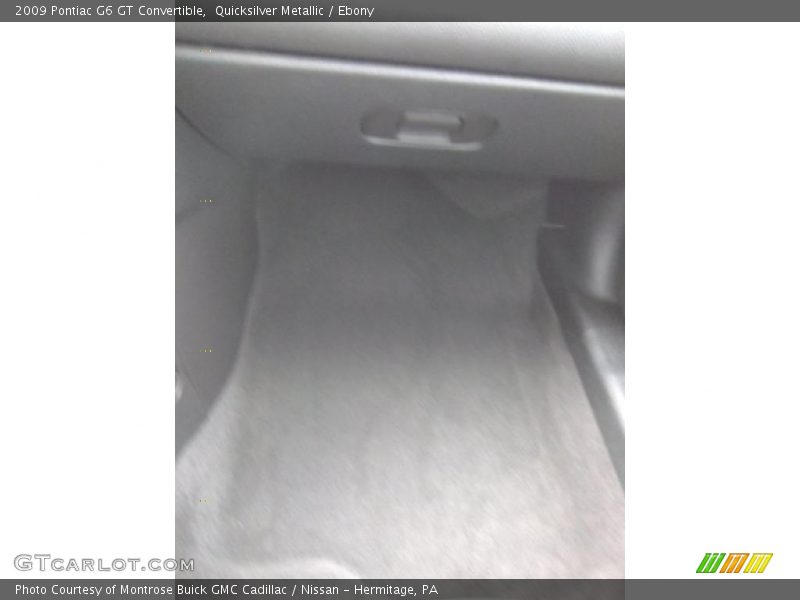 Quicksilver Metallic / Ebony 2009 Pontiac G6 GT Convertible