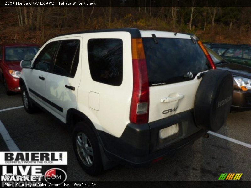 Taffeta White / Black 2004 Honda CR-V EX 4WD