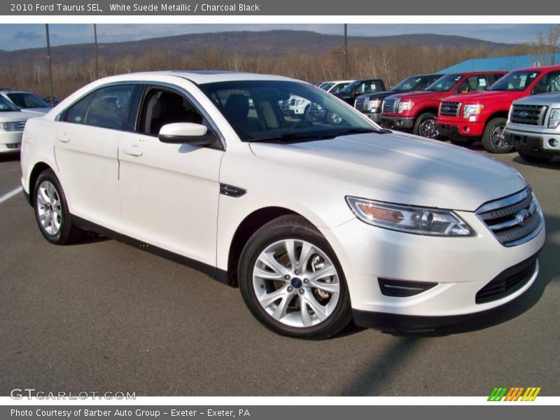 White Suede Metallic / Charcoal Black 2010 Ford Taurus SEL