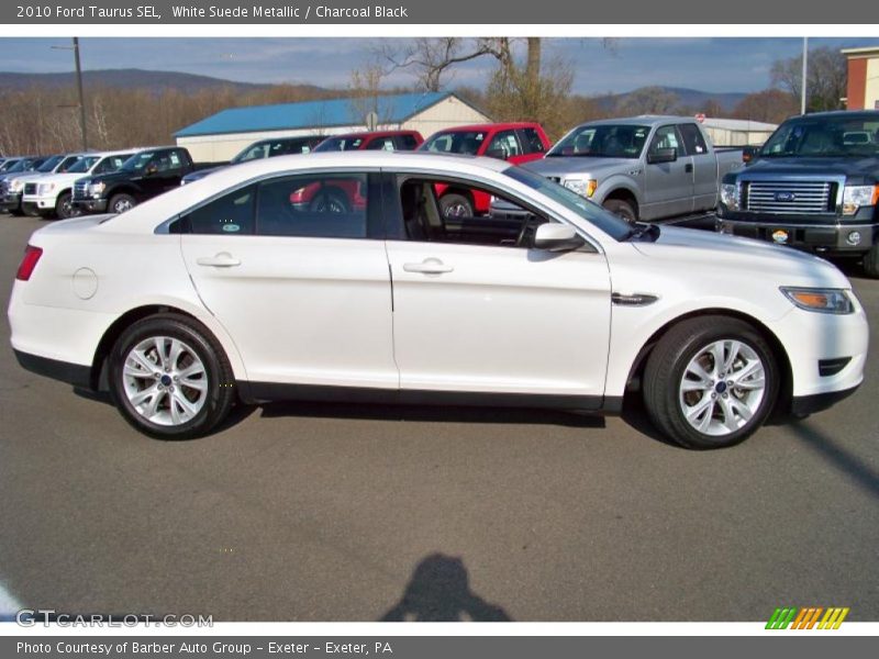 White Suede Metallic / Charcoal Black 2010 Ford Taurus SEL