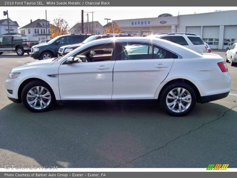 White Suede Metallic / Charcoal Black 2010 Ford Taurus SEL