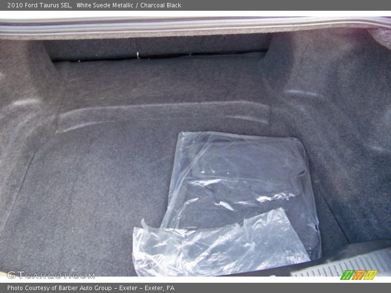 White Suede Metallic / Charcoal Black 2010 Ford Taurus SEL
