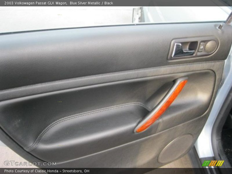 Door Panel of 2003 Passat GLX Wagon