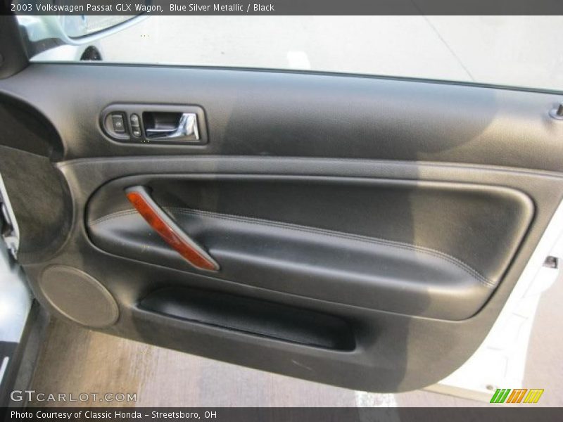 Door Panel of 2003 Passat GLX Wagon