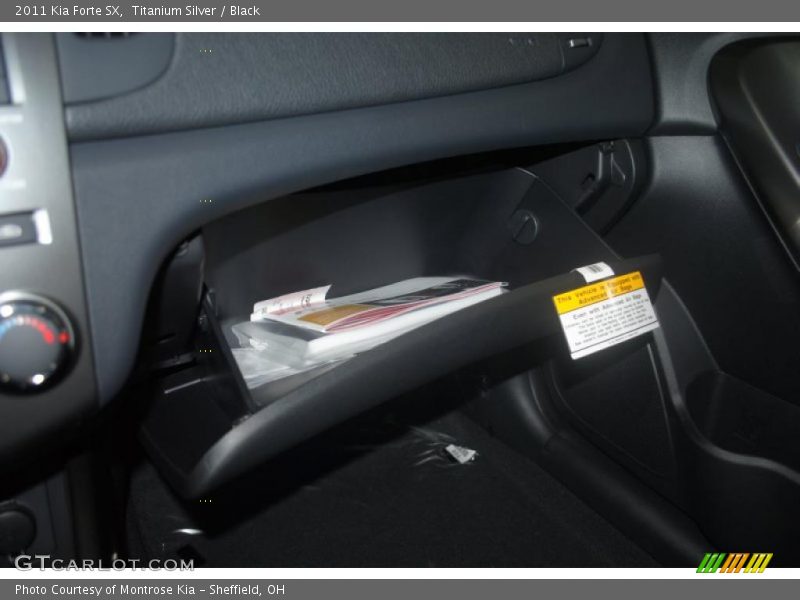 Titanium Silver / Black 2011 Kia Forte SX