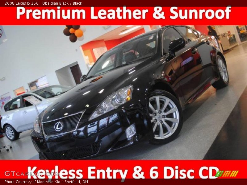 Obsidian Black / Black 2008 Lexus IS 250