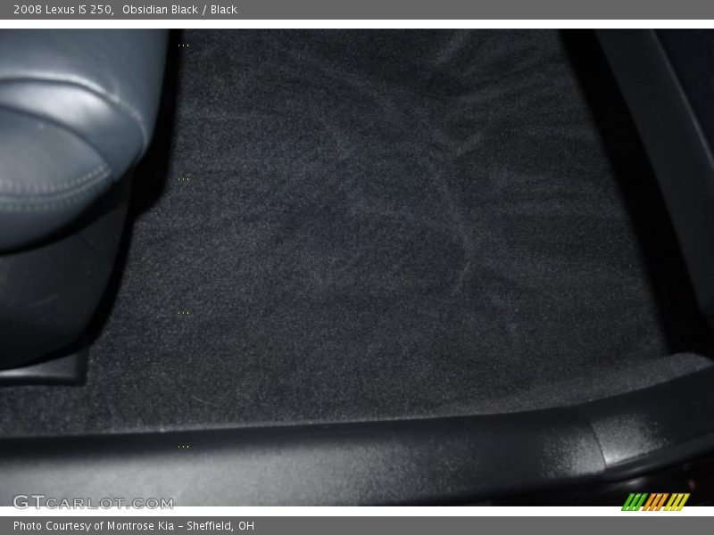 Obsidian Black / Black 2008 Lexus IS 250