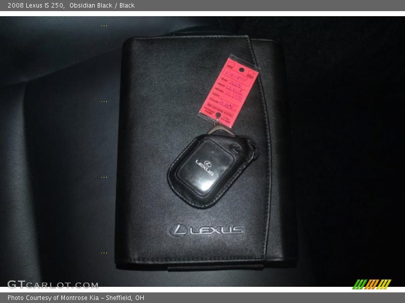 Obsidian Black / Black 2008 Lexus IS 250