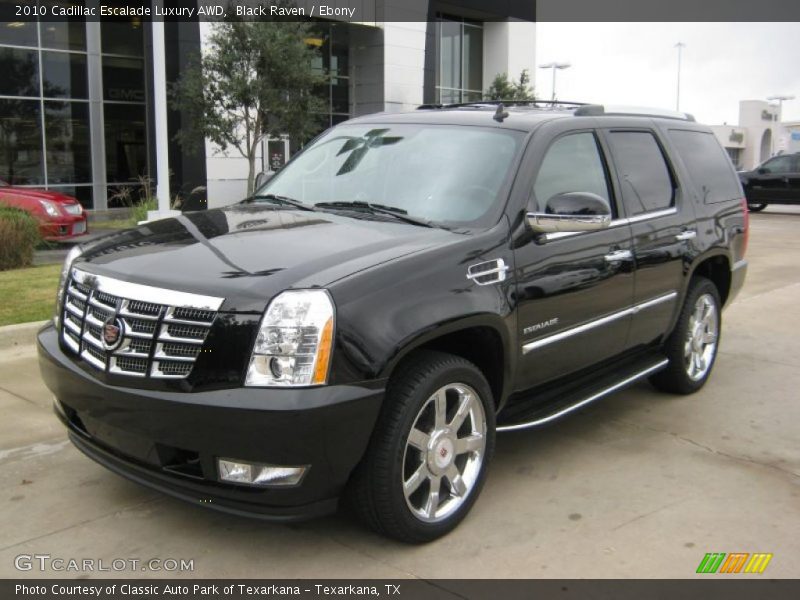 Black Raven / Ebony 2010 Cadillac Escalade Luxury AWD